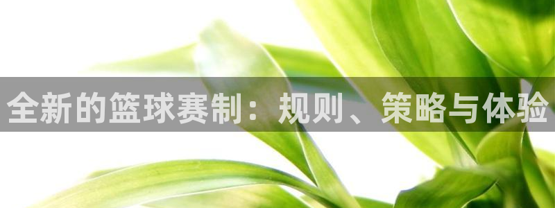 全新的篮球赛制：规则、策略与体验