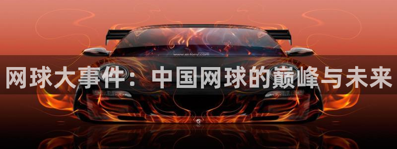 网球大事件：中国网球的巅峰与未来