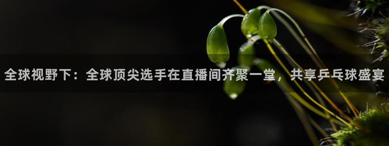 全球视野下：全球顶尖选手在直播间齐聚一堂，共享乒乓球盛宴