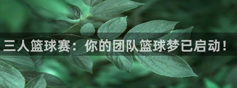 三人篮球赛：你的团队篮球梦已启动！