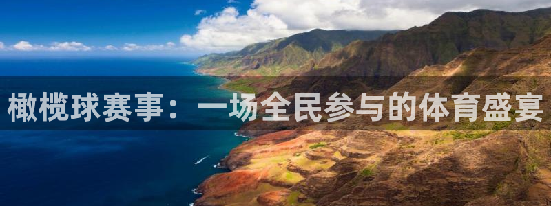 球王会体育下载：橄榄球赛事：一场全民参与的体育盛宴