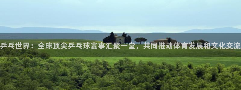 球王会体育app下载：乒乓世界：全球顶尖乒乓球赛事汇聚一堂，