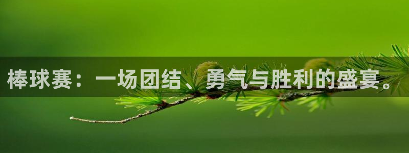 球王会体育官网入口：棒球赛：一场团结、勇气与胜利的盛宴。