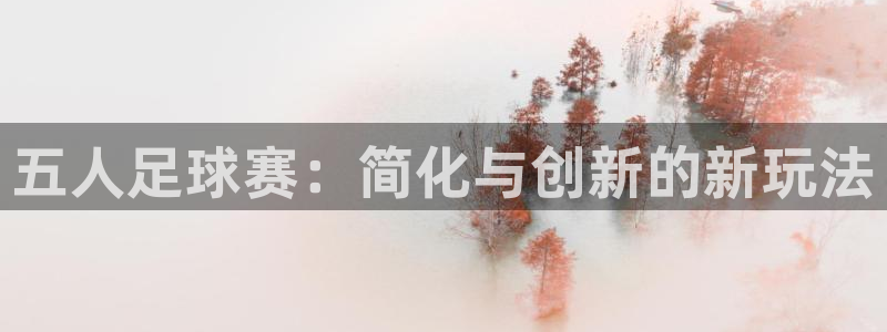 球王会体育app：五人足球赛：简化与创新的新玩法