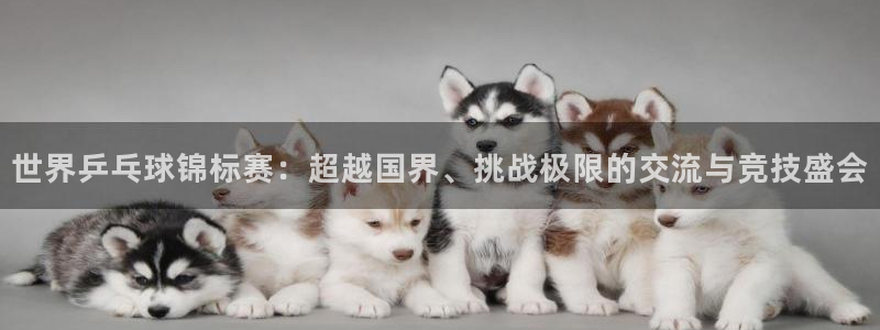 球王会体育官网app：世界乒乓球锦标赛：超越国界、挑战极限的