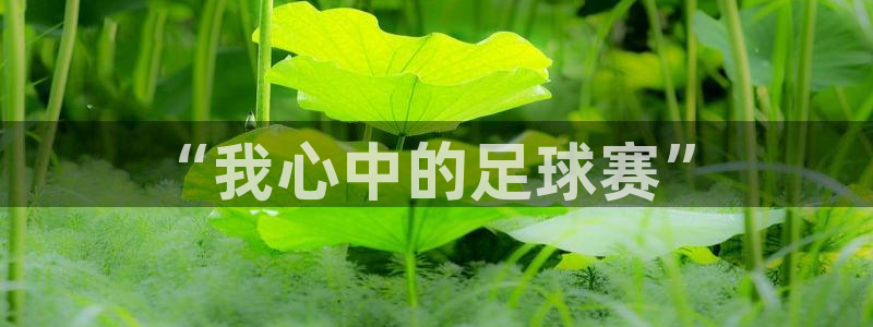 球王会体育官网下载：“我心中的足球赛”